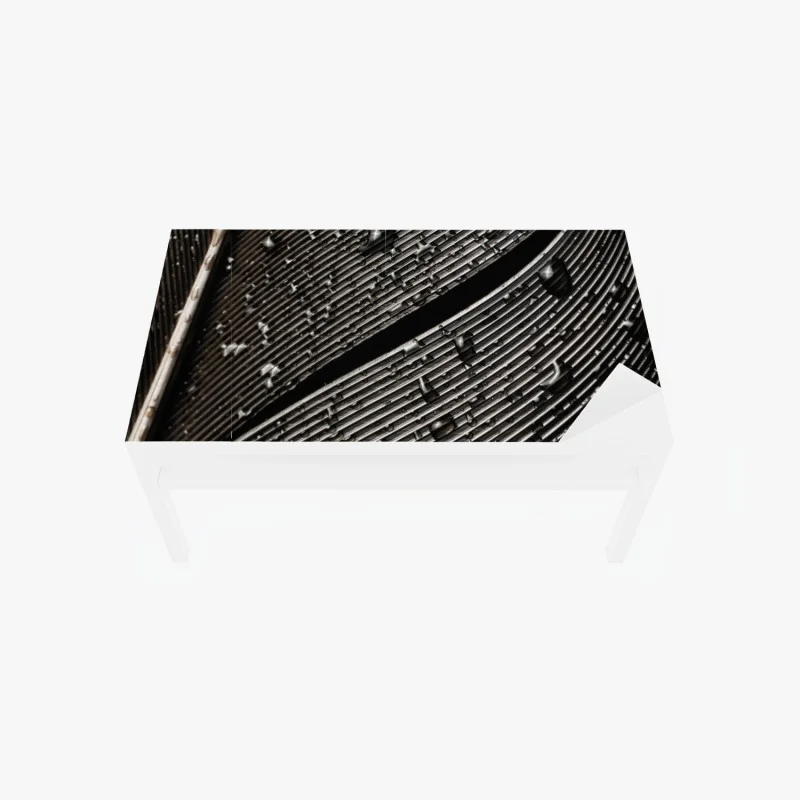 Minimaliste – Wallnifity®