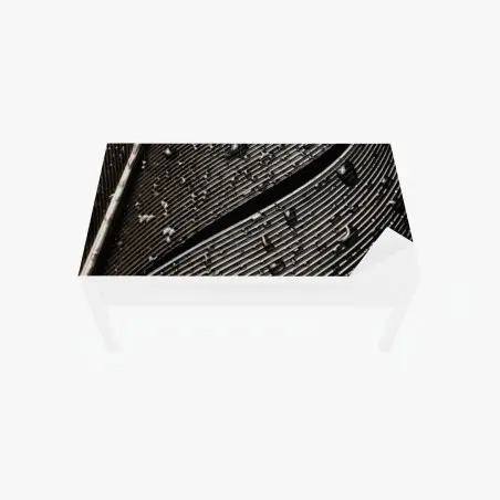 Sticker pour table et bureau plume perlée en gros plan – Wallnifity®