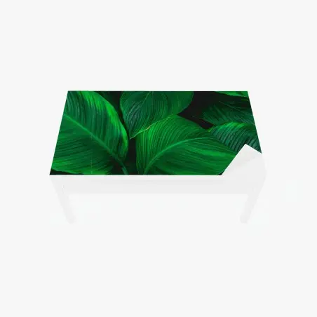 Sticker pour table et bureau feuillage tropical luxuriant – Wallnifity®