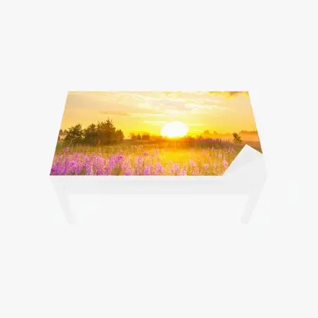 Sticker pour table et bureau prairie en fleurs au lever du soleil – Wallnifity®