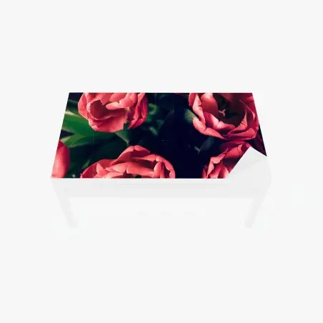 Sticker pour table et bureau bouquet de tulipes corail sur fond sombre – Wallnifity®