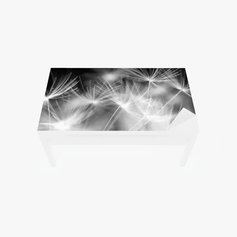 Minimaliste – Wallnifity®