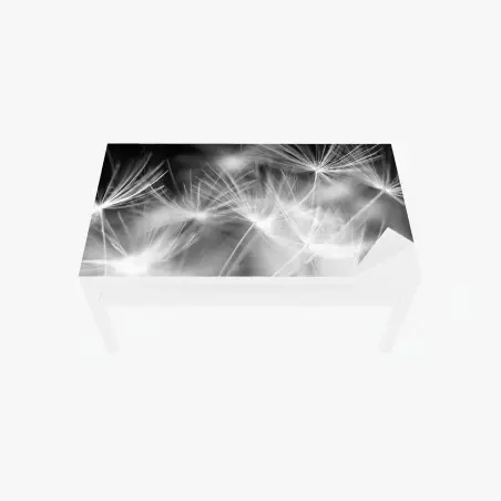 Sticker pour table et bureau souffle de pissenlit en gros plan – Wallnifity®