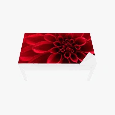 Sticker pour table et bureau élégance du dahlia rouge – Wallnifity®
