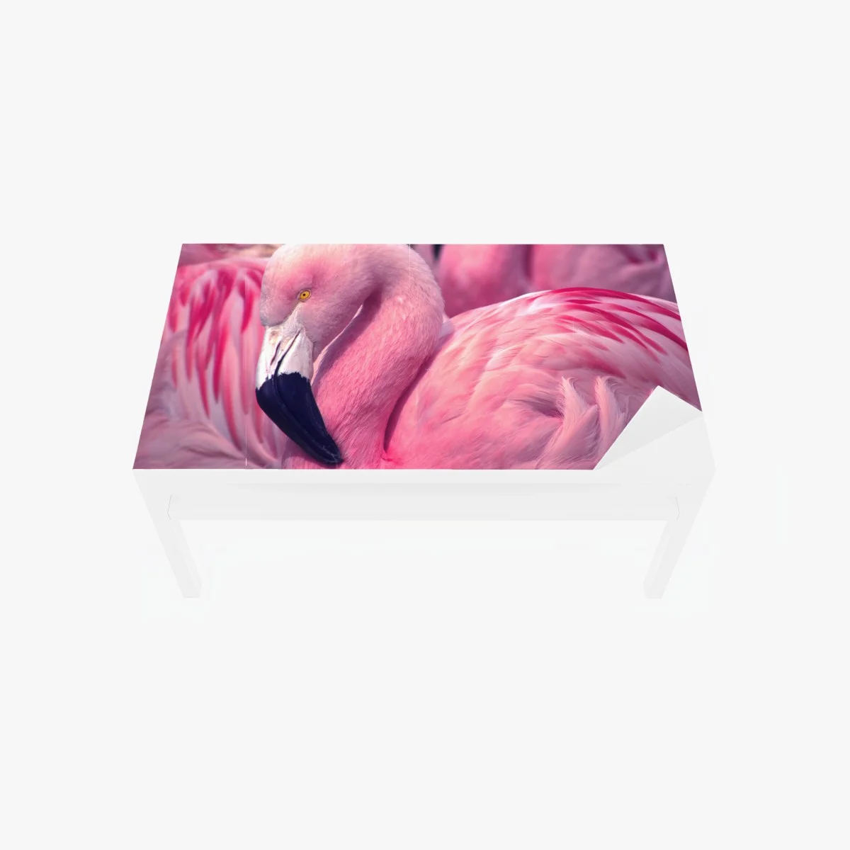 Sticker pour table et bureau élégant flamant rose au plumage vibrant – Wallnifity® Sticker pour table et bureau élégant flamant rose au plumage vibrant – Wallnifity®