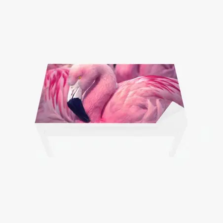 Sticker pour table et bureau élégant flamant rose au plumage vibrant – Wallnifity®