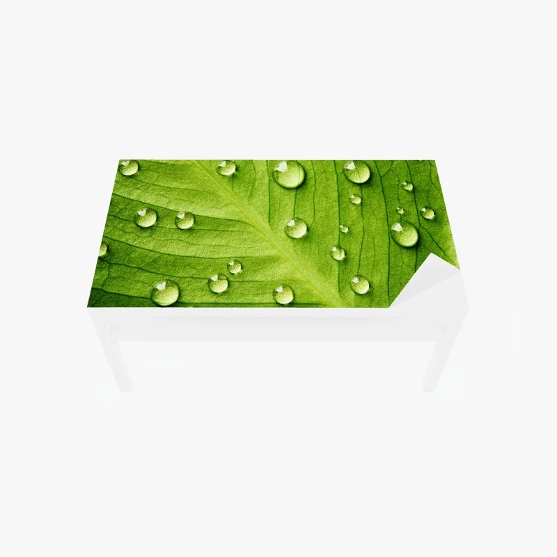 Salle de bain – Wallnifity®