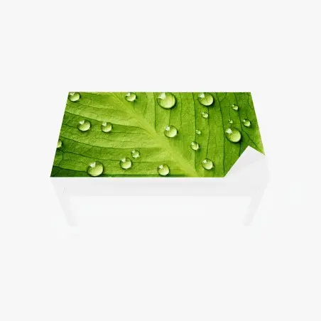 Sticker pour table et bureau gouttes sur feuille verte en gros plan – Wallnifity®