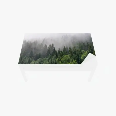 Sticker pour table et bureau brume mystérieuse sur la forêt de conifères – Wallnifity®