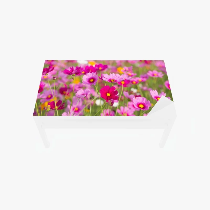 Stickers pour table et bureau – Wallnifity®