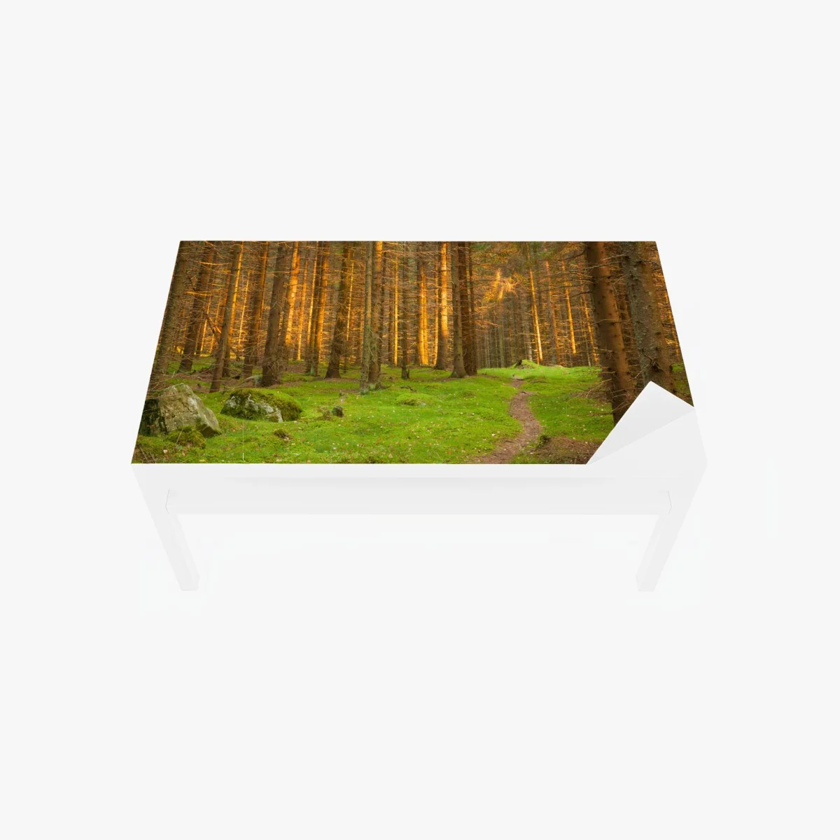Sticker pour table et bureau lumière dorée dans la forêt de sapins – Wallnifity® Sticker pour table et bureau lumière dorée dans la forêt de sapins – Wallnifity®