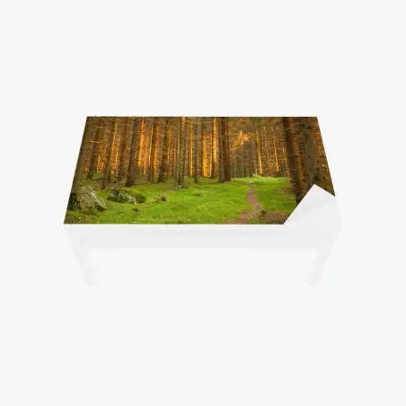 Sticker pour table et bureau lumière dorée dans la forêt de sapins – Wallnifity®