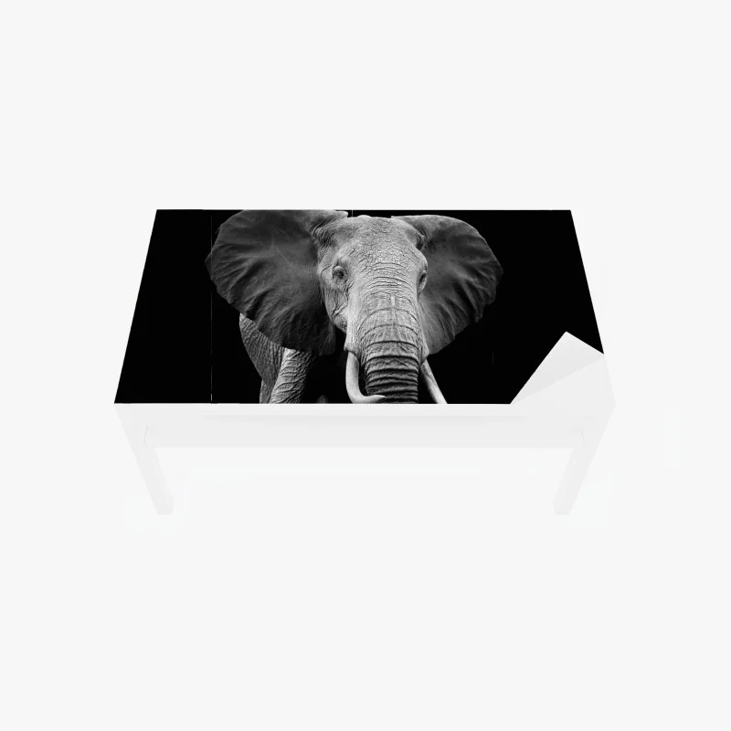 Animaux – Wallnifity®