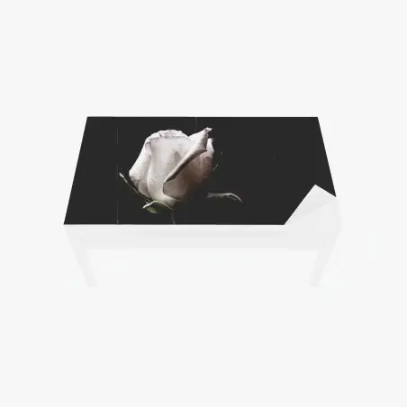 Sticker pour table et bureau rose blanche en gros plan sur fond noir – Wallnifity®