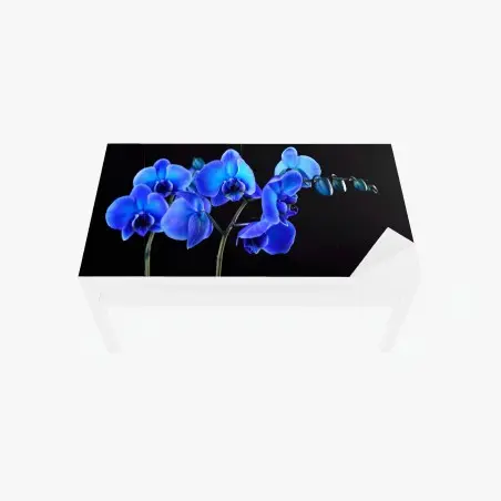 Sticker pour table et bureau orchidée bleue sur fond noir, élégance florale – Wallnifity®