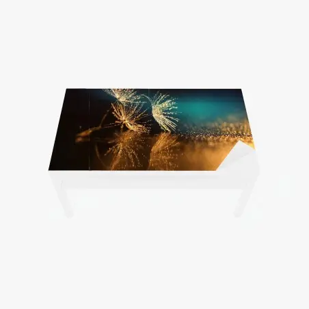 Sticker pour table et bureau pissenlits en rosée dorée – Wallnifity®