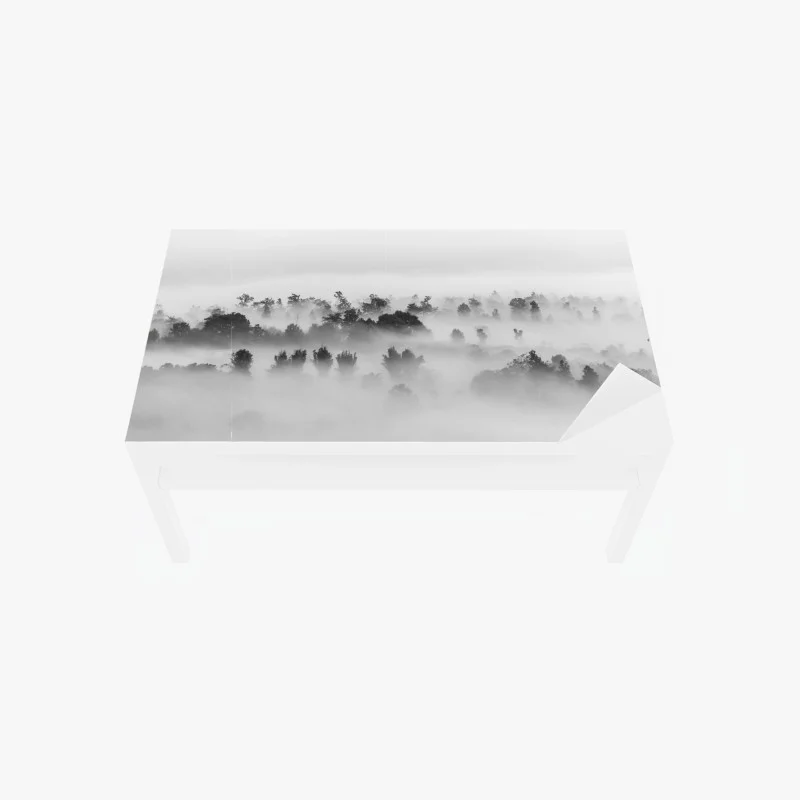 Minimaliste – Wallnifity®