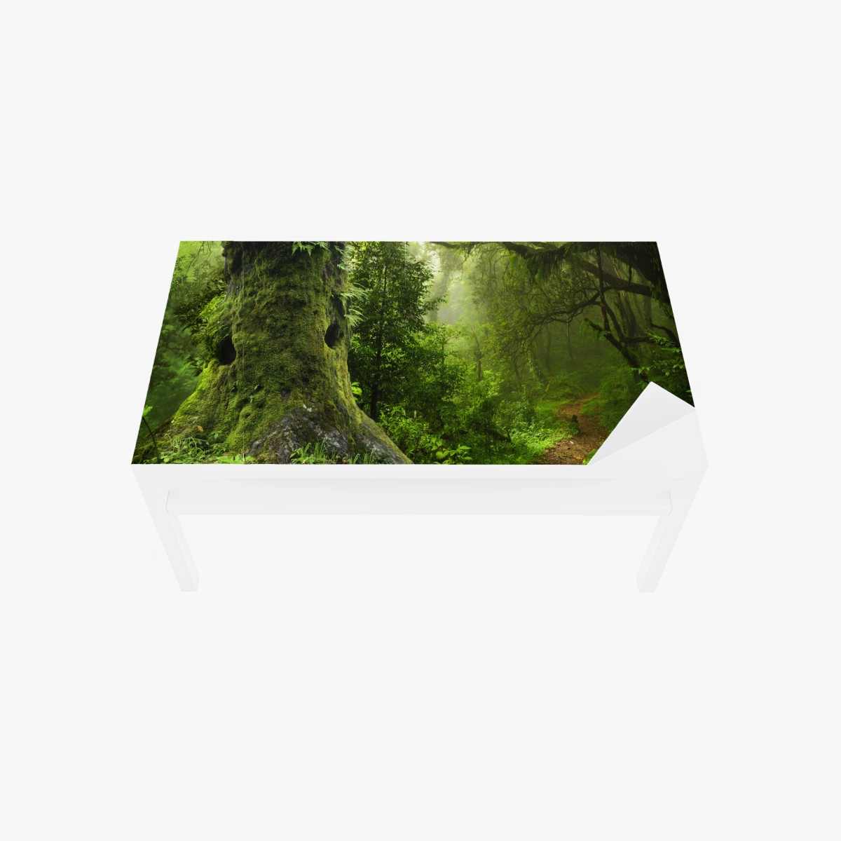 Sticker pour table et bureau forêt enchantée au lever de brume – Wallnifity®