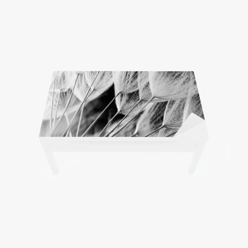 Autocollants – Wallnifity®
