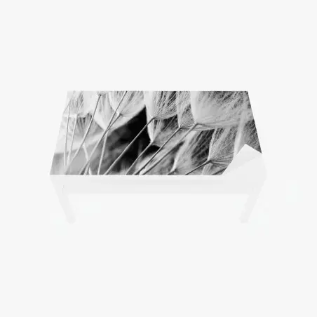 Sticker pour table et bureau plumes de pissenlit en noir et blanc – Wallnifity®