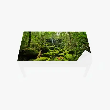 Sticker pour table et bureau cascade et mousse verte dans la forêt tropicale – Wallnifity®