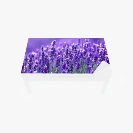 Sticker pour table et bureau champ de lavande en gros plan, ambiance provençale – Wallnifity®