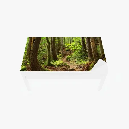Sticker pour table et bureau sentier enchanté en forêt verdoyante – Wallnifity®