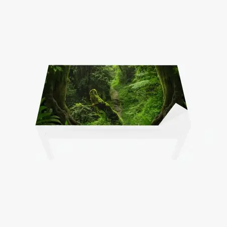 Sticker pour table et bureau sentier moussu dans une forêt luxuriante – Wallnifity®