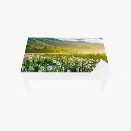 Sticker pour table et bureau pissenlits et brume matinale en montagne – Wallnifity®