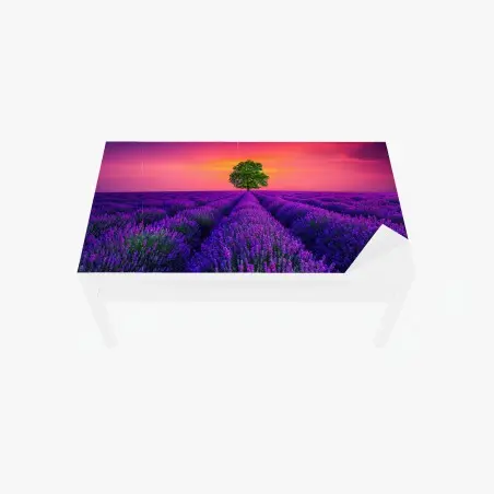 Sticker pour table et bureau champ de lavande et arbre solitaire au coucher de soleil – Wallnifity®