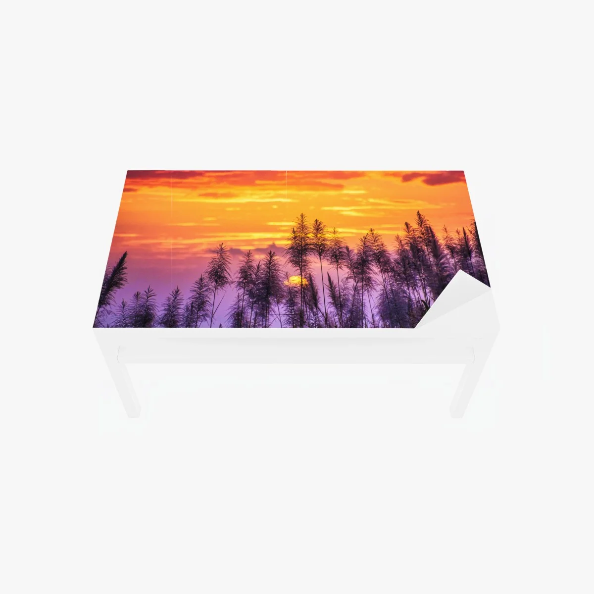 Sticker pour table et bureau crépuscule doré derrière les pampas – Wallnifity® Sticker pour table et bureau crépuscule doré derrière les pampas – Wallnifity®
