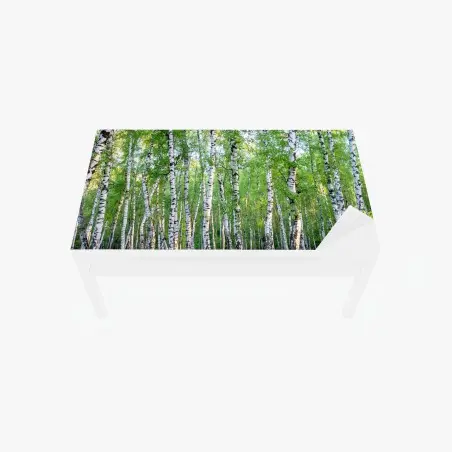 Sticker pour table et bureau forêt de bouleaux en été – Wallnifity®