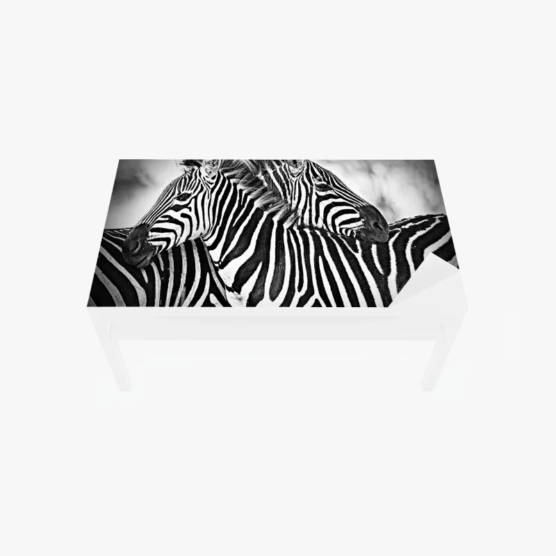 Minimaliste – Wallnifity®