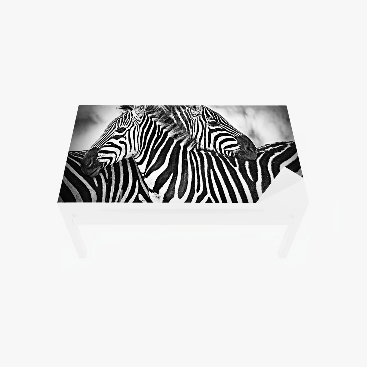 Sticker pour table et bureau étreinte de rayures - zèbres en noir et blanc – Wallnifity® Sticker pour table et bureau étreinte de rayures - zèbres en noir et blanc – Wallnifity®