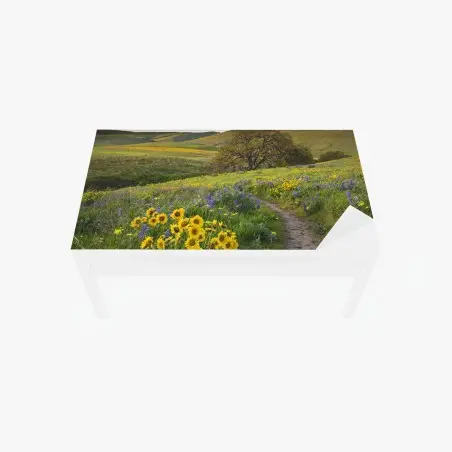 Sticker pour table et bureau sentier fleuri sous les collines dorées – Wallnifity®