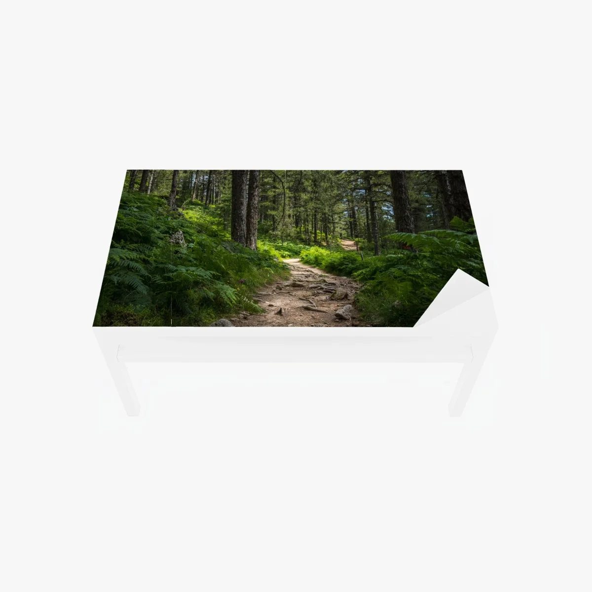 Sticker pour table et bureau chemin forestier verdoyant – Wallnifity® Sticker pour table et bureau chemin forestier verdoyant – Wallnifity®