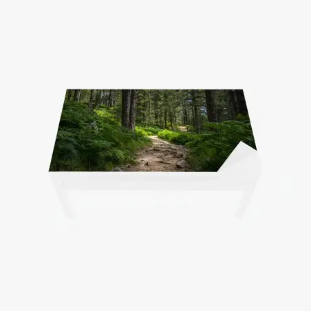 Sticker pour table et bureau chemin forestier verdoyant – Wallnifity®