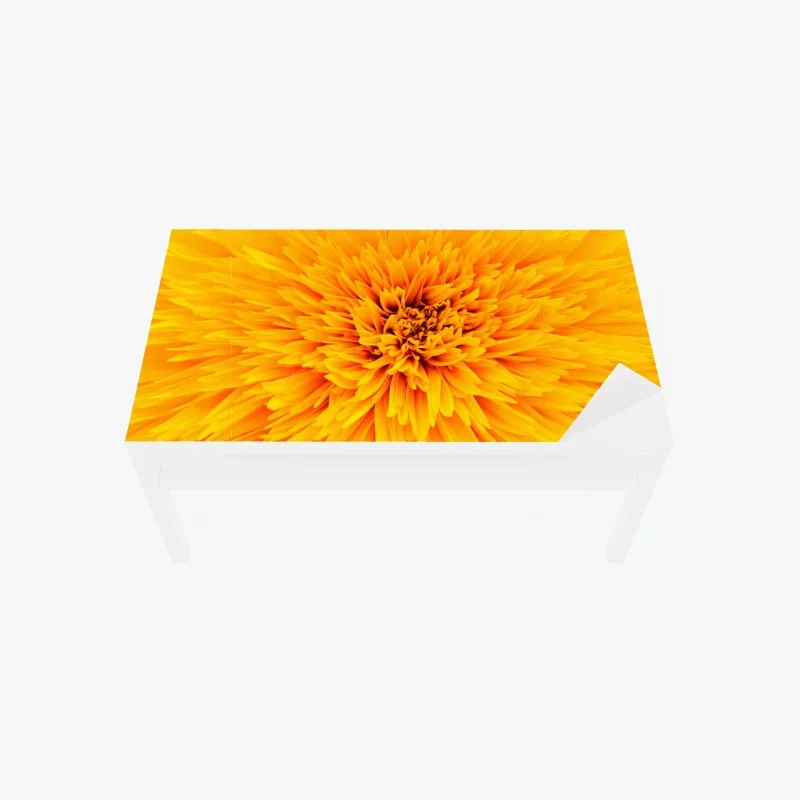 Fleurs – Wallnifity®