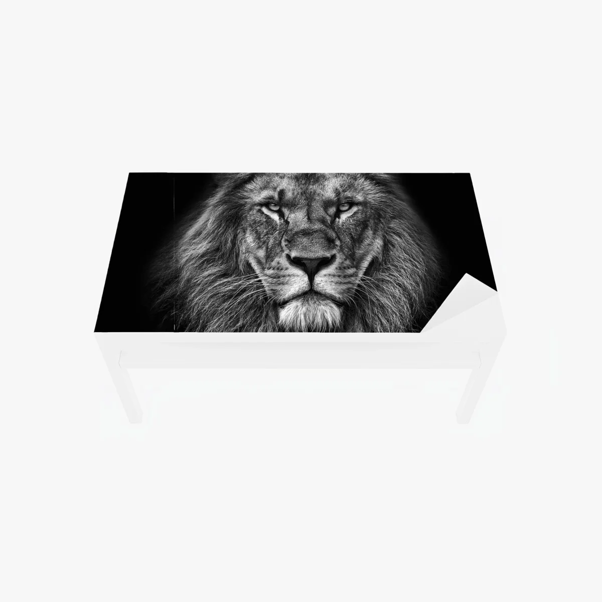 Sticker pour table et bureau regard de lion majestueux en noir et blanc – Wallnifity® Sticker pour table et bureau regard de lion majestueux en noir et blanc – Wallnifity®