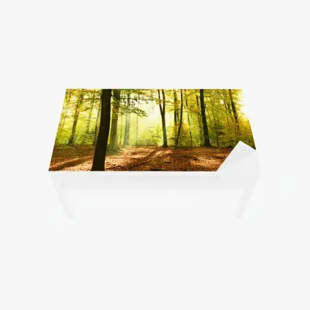 Sticker pour table et bureau forêt d'automne baignée de lumière – Wallnifity®