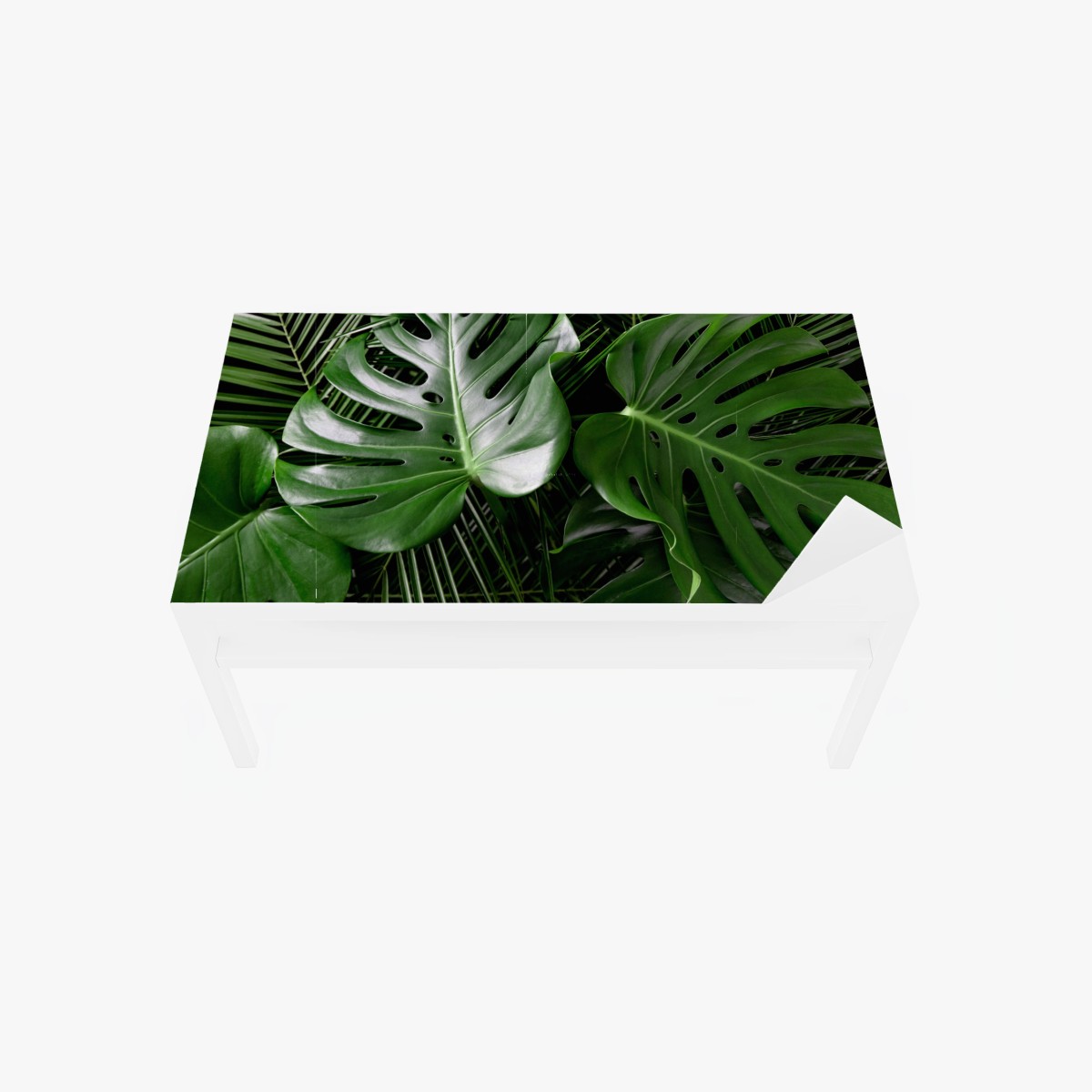 Sticker pour table et bureau motif feuilles tropicales luxuriantes – Wallnifity®