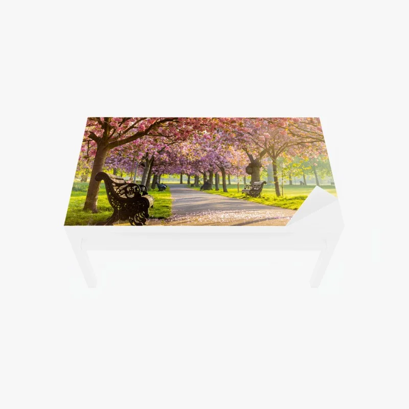 Fleurs – Wallnifity®
