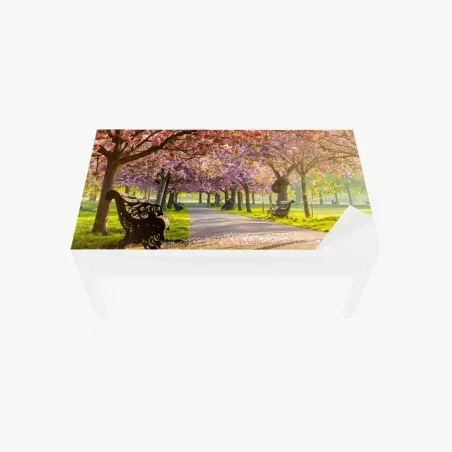 Sticker pour table et bureau promenade sous les cerisiers en fleurs – Wallnifity®