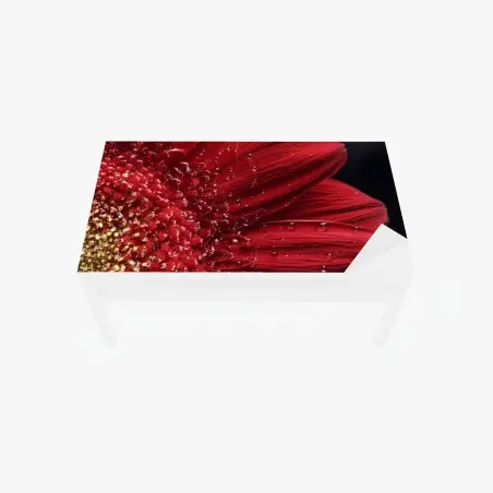 Sticker pour table et bureau gerbera rouge en gros plan – Wallnifity®