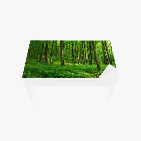Sticker pour table et bureau forêt verdoyante au printemps – Wallnifity®
