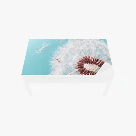 Sticker pour table et bureau douceur de pissenlit sur fond turquoise – Wallnifity®