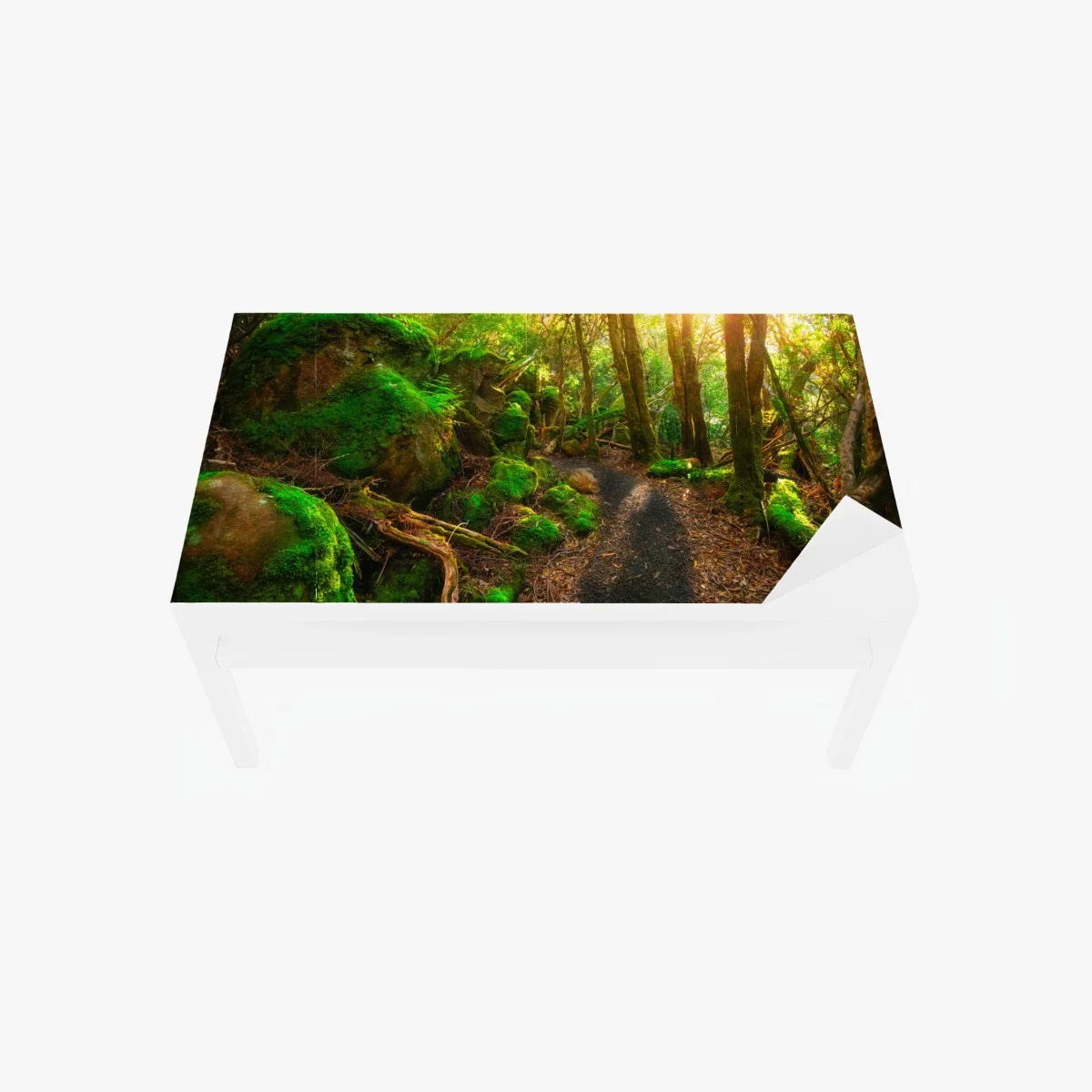 Sticker pour table et bureau chemin verdoyant dans la forêt jurassique de Tasmanie – Wallnifity® Sticker pour table et bureau chemin verdoyant dans la forêt jurassique de Tasmanie – Wallnifity®