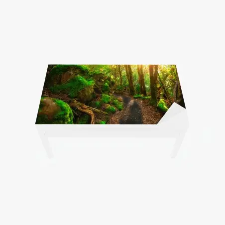 Sticker pour table et bureau chemin verdoyant dans la forêt jurassique de Tasmanie – Wallnifity®