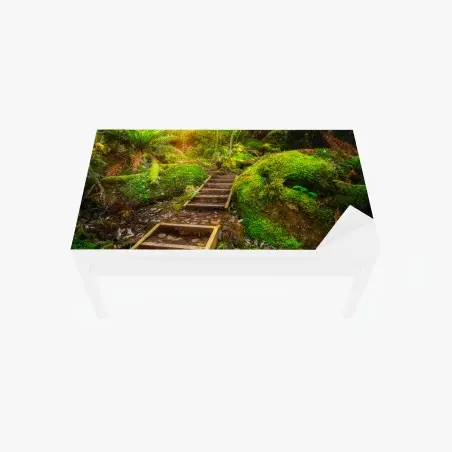 Sticker pour table et bureau sentier luxuriant dans la forêt jurassique de Tasmanie – Wallnifity®