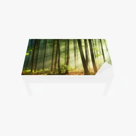 Sticker pour table et bureau forêt en lumière matinale – Wallnifity®